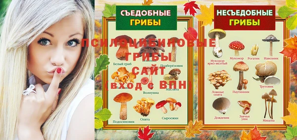 прущая мука Арсеньев