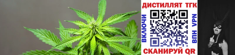 Купить закладки  Кремёнки  ТГК вейп с тгк 